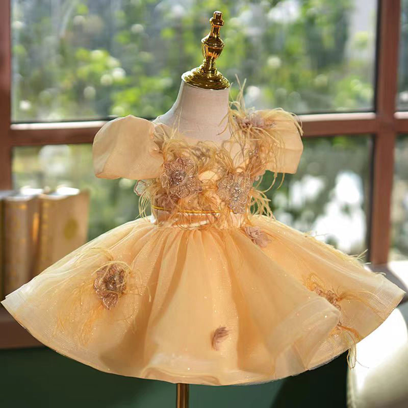Jill Saprkly Champagne Flower Princess Girl Dress for Kids Birthday Party J783