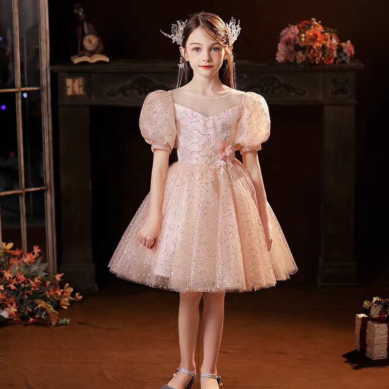 Dreamy Pink Girl Dress Floral Holiday Wedding Party Ball Gown J716
