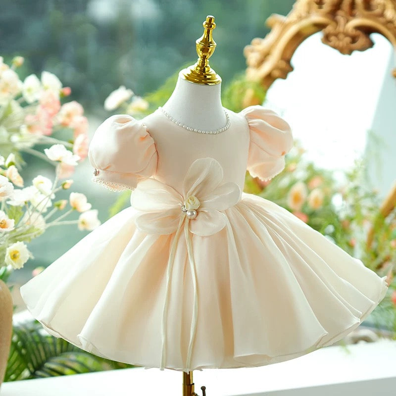 Jill Flower Girl Dress Knee Length Toddler 1st Birthday Party J415