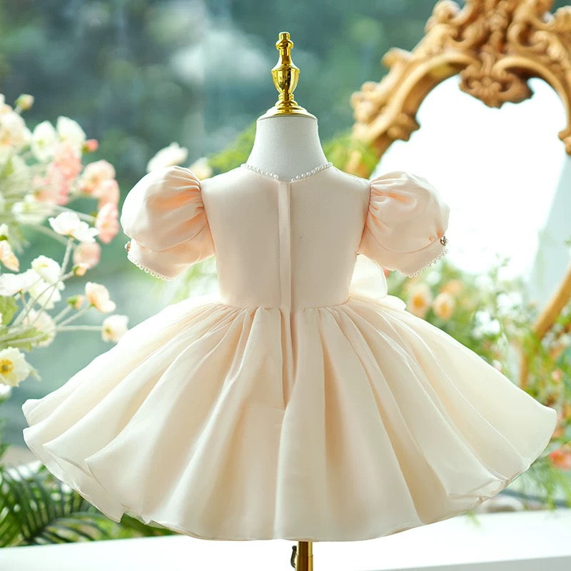 Jill Flower Girl Dress Knee Length Toddler 1st Birthday Party J415
