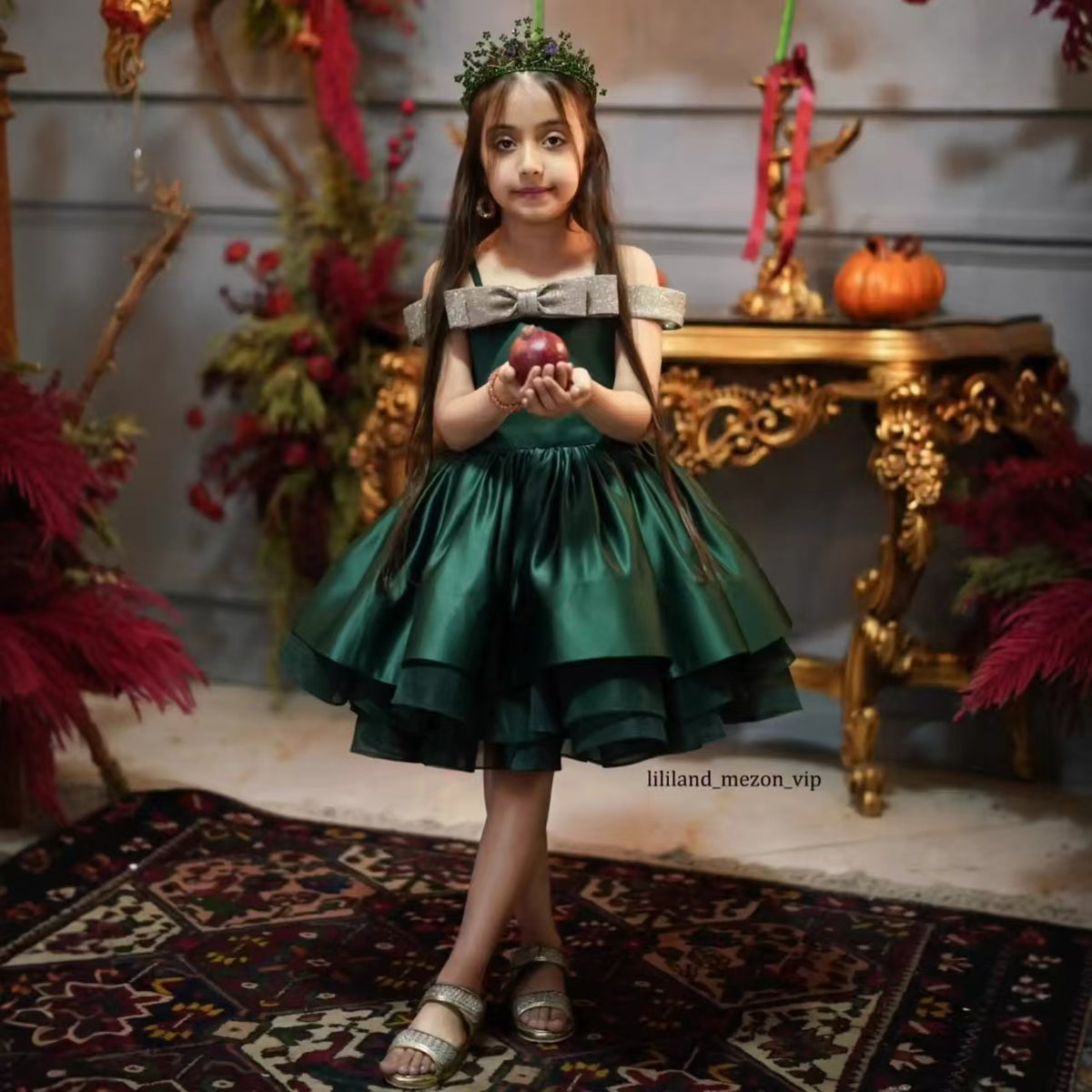 Eleagnt Princess Girl Dress for Kids Birthday Party Gown D168